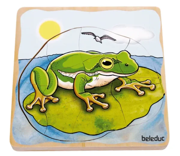 Lagenpuzzle Frosch