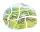Lagenpuzzle Frosch